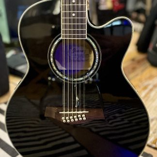 Ibanez AEL2012ETKS 12-kielinen elektroakkari (second hand - mint)