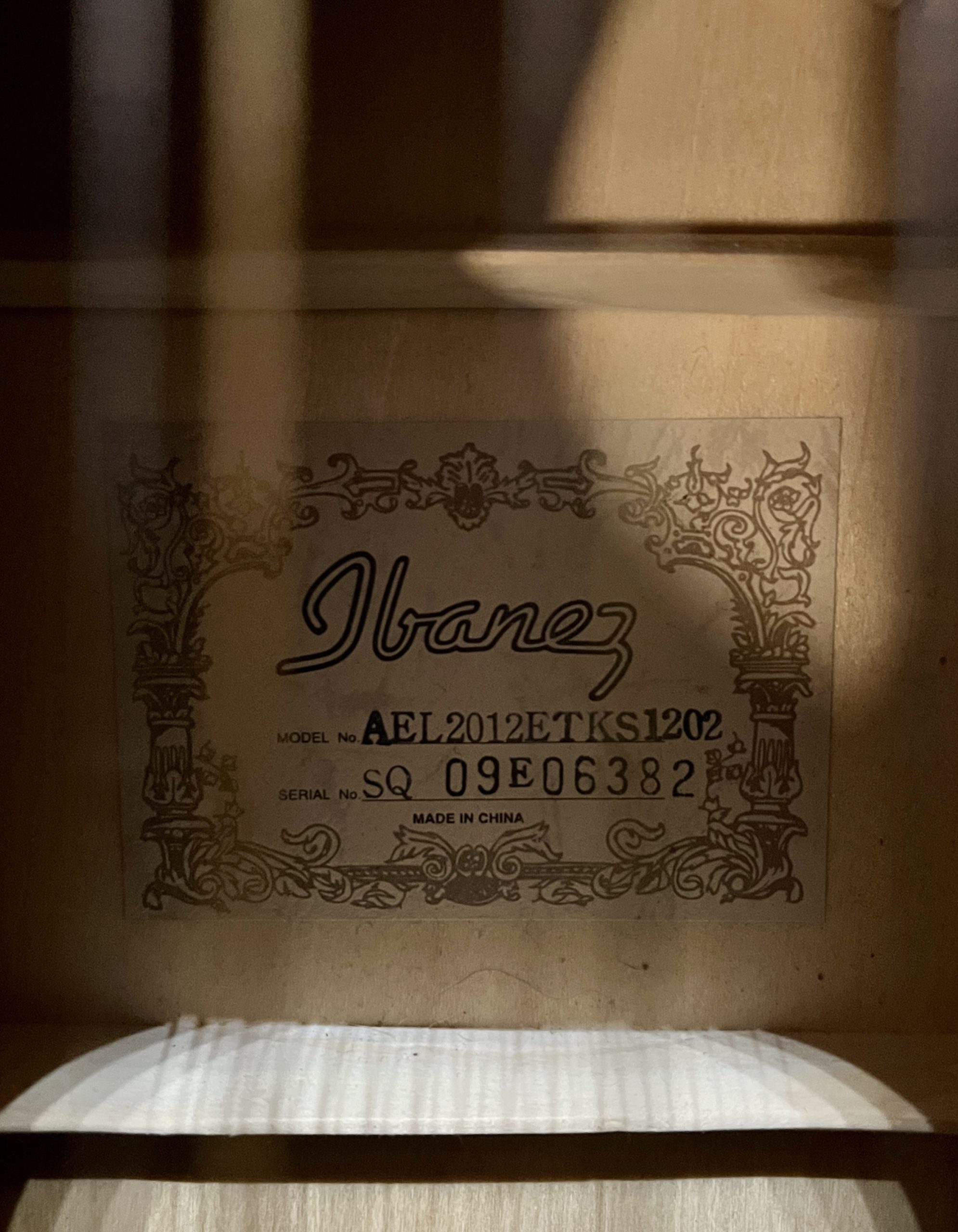 Ibanez AEL2012ETKS 12-kielinen elektroakkari (second hand - mint) - Image 5