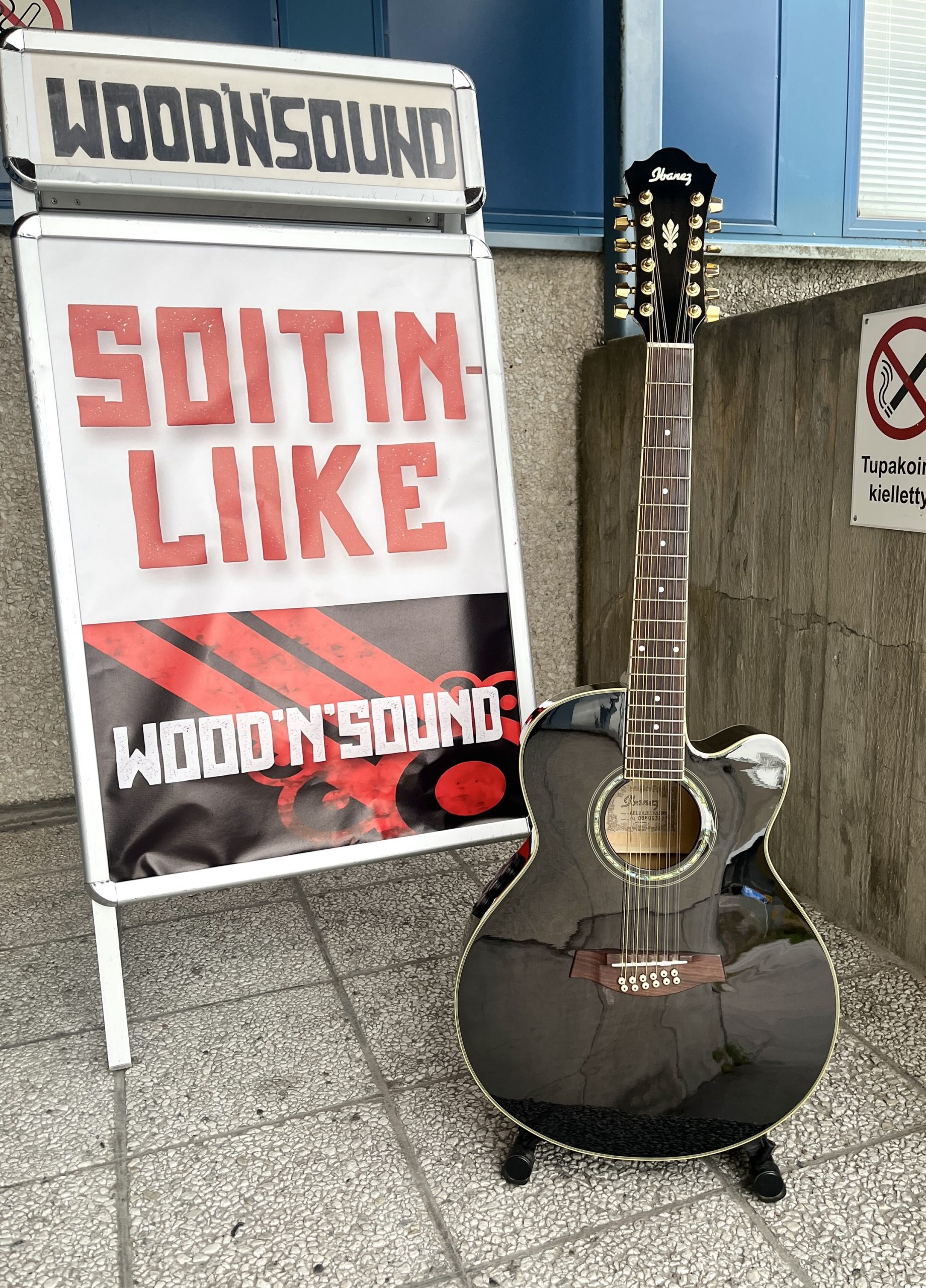 Ibanez AEL2012ETKS 12-kielinen elektroakkari (second hand - mint) - Image 8