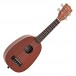 sopraanoukulele